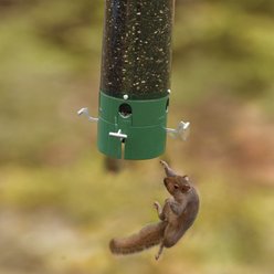 Panacea The Bouncer Squirrel-Resistant Tube Wild Bird Feeder slide 2 of 3