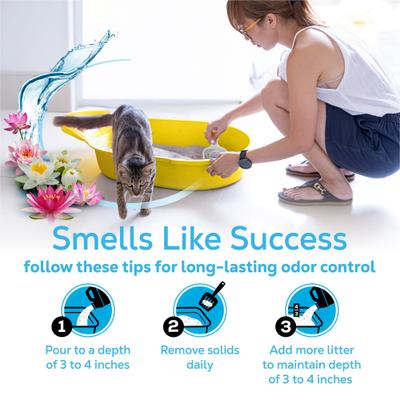 Show full view: Tidy Cats Glade Clear Springs Scented Clumping Cat Litter, 20-lb jug, case of 2 slide 9 of 11