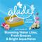 Show in main carousel: Tidy Cats Glade Clear Springs Scented Clumping Cat Litter, 20-lb jug, case of 2 slide 5 of 11