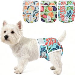 Bella & Pal Washable Female Dog Diapers, 3 count, Natural Joy, Medium: 14 to 19-in waist