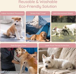 Bella & Pal Washable Female Dog Diapers, 3 count, Pink, Medium: 14 to 19-in waist slide 2 of 8