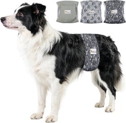 Bella & Pal Washable Belly Band Male Dog Wrap, Gray, 3 count, Large-Plus: 20 to 24-in waist