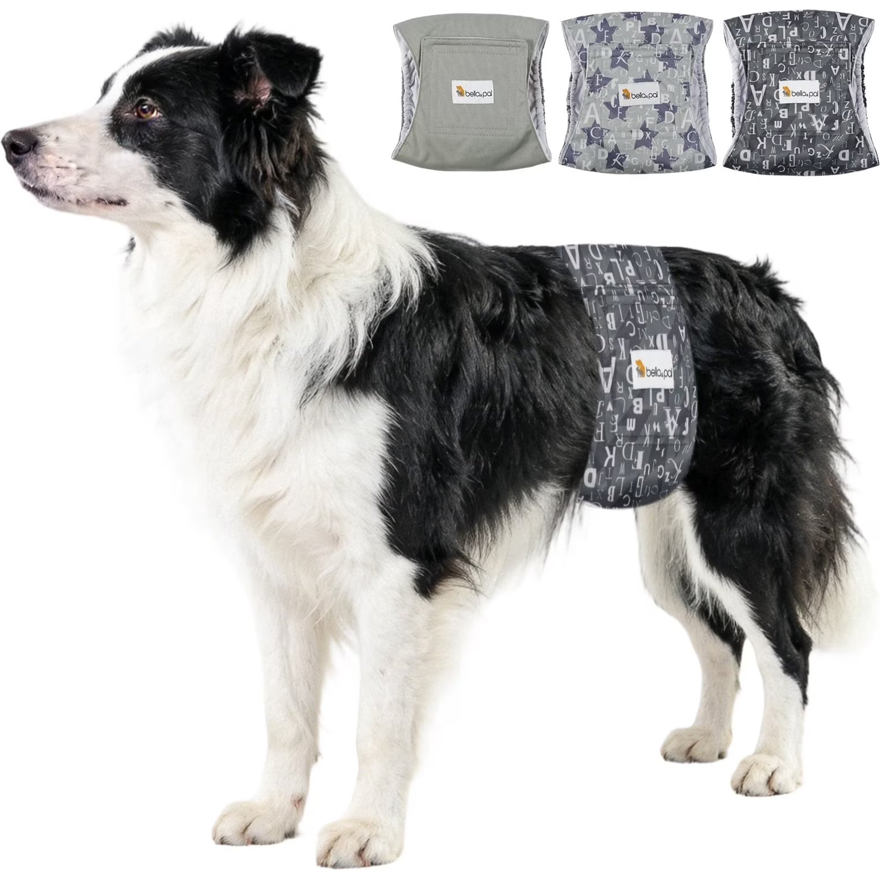 Bella & Pal Washable Belly Band Male Dog Wrap, Gray, 3 count, Large-Plus: 20 to 24-in waist