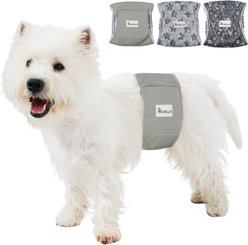 Bella & Pal Washable Belly Band Male Dog Wrap, Gray, 3 count, Medium: 13 to 16-in waist
