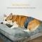 Show in main carousel: Bella & Pal Washable Belly Band Male Dog Wrap, Gray, 3 count, X-Small: 8 to 11-in waist slide 6 of 9