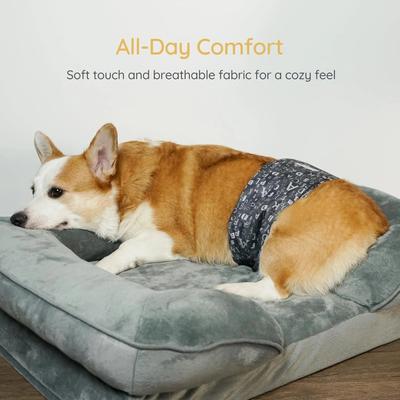 Show full view: Bella & Pal Washable Belly Band Male Dog Wrap, Gray, 3 count, X-Small: 8 to 11-in waist slide 6 of 9