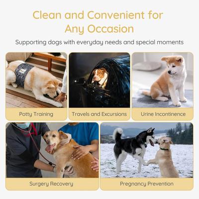 Show full view: Bella & Pal Washable Belly Band Male Dog Wrap, Gray, 3 count, X-Small: 8 to 11-in waist slide 7 of 9