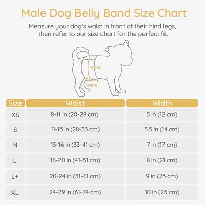 Show full view: Bella & Pal Washable Belly Band Male Dog Wrap, Gray, 3 count, X-Small: 8 to 11-in waist slide 2 of 9