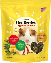 Lafeber Hey!Berries Apple & Banana Guinea Pig Treats, 1-oz bag