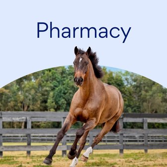 Pharmacy