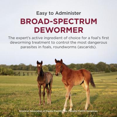 Show full view: Anthelcide EQ Oxibendazole Paste Horse Dewormer, 0.85-oz syringe slide 3 of 8