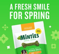 Minties Large Mint Flavored Dental Dog Treats 50+ lbs, 32-oz bag, 24 count slide 2 of 9