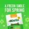 Show in main carousel: Minties Large Mint Flavored Dental Dog Treats 50+ lbs, 48-oz bag, 36 count slide 9 of 11