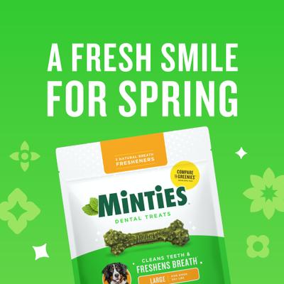 Show full view: Minties Large Mint Flavored Dental Dog Treats 50+ lbs, 48-oz bag, 36 count slide 9 of 11