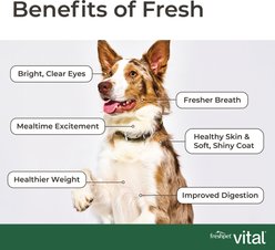 Freshpet Healthy Aging Chicken & Salmon Recipe Fresh Refrigerated Dog Food, 2-lb roll, case of 8 slide 2 of 9