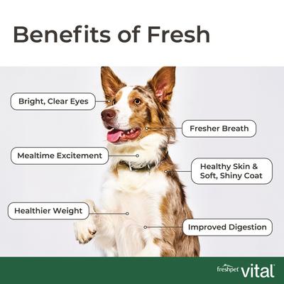 Show full view: Freshpet Chicken Recipe with Peas, Carrots, & Brown Rice Fresh Refrigerated Dog Food, 6-lb roll, case of 4 slide 8 of 10
