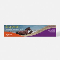 STRONGID Pyrantel Pamoate Paste Dewormer for Horses, 20-ml syringe