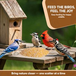 Trailmark Naturals Cracked Corn Bird Food, 10-lb bag slide 2 of 7