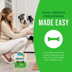 Minties Tiny/Small Mint Flavored Dental Treats for Dogs, 5-24 lbs, 32-oz, 80 count slide 2 of 9