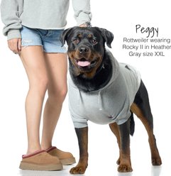 Pet Passion Rocky II The Extra Comfy Solid Color Dog Hoodie, Heather Grey, XX-Large slide 2 of 7