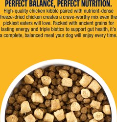 Muenster Perfect Balance Chicken Meal Medley with Chicken Bites Freeze-Dried Dog Food, 3.5-lb bag slide 2 of 9
