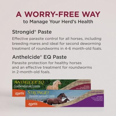 Show full view: STRONGID Pyrantel Pamoate Paste Dewormer for Horses, 20-ml syringe slide 7 of 7