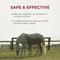 Show in main carousel: Anthelcide EQ Oxibendazole Paste Horse Dewormer, 0.85-oz syringe slide 5 of 8