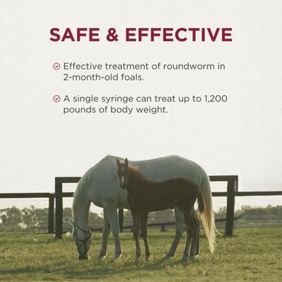 Show full view: Anthelcide EQ Oxibendazole Paste Horse Dewormer, 0.85-oz syringe slide 5 of 8