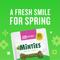 Show in main carousel: Minties Tiny/Small Mint Flavored Dental Treats for Dogs, 5-24 lbs, 32-oz, 80 count slide 10 of 11