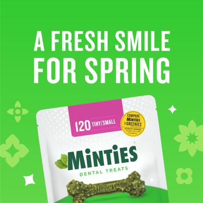 Show full view: Minties Tiny/Small Mint Flavored Dental Treats for Dogs, 5-24 lbs, 32-oz, 80 count slide 10 of 11