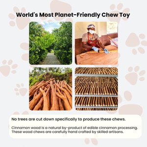 Cinnapaws Ceylon Cinnamon Wood Dog Chew Toy, Small