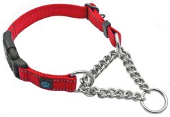 Max and Neo Dog Gear Nylon Reflective Martingale Dog Collar with Chain, Red, Medium: 16 to 19-in neck, 1-in wide