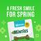 Show in main carousel: Minties Medium Mint Flavored Dental Treats for Dogs, 25-50 lbs, 32-oz, 40 count slide 10 of 11
