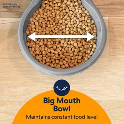 Petmate Pearl Replendish Gravity Refill Dog & Cat Feeder with Microban, Brushed Nickel, 8-cup slide 2 of 7