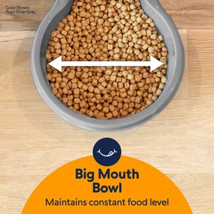 Petmate Replendish Dishwasher Safe Plastic Dog Feeder, Pearl Smoke Gray, 10-lb