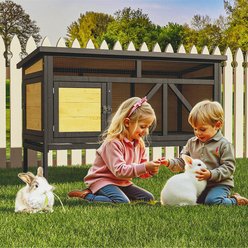 TIMHAKA Indoor & Outdoor Elevated Wooden Hutch for Small Pets with Removable Tray, Waterproof Asphalt Roof & Bottom Wire Mesh, Black/Yellow, 46.7 x 22.1 x 31.5-in slide 2 of 7