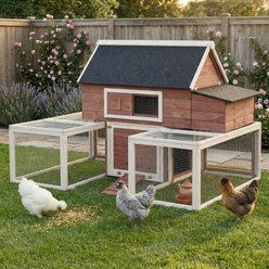 PawHut Garden Backyard Outdoor House Wooden with Nesting Box, Double Runs, Asphalt Roof & Ramp Chicken Coop, 114.25 x 28 x 46.75-in
