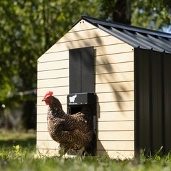 Run Chicken Classic Automatic Chicken Coop Door Opener with Timer, Onyx slide 2 of 6