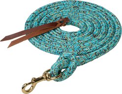 Weaver Equine Cowboy Horse Lead with Snap, 10-ft long, 5/8-in wide, Turquoise/Brown/Tan