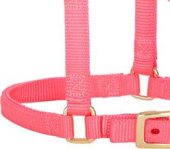 Weaver Equine Original Adjustable Halter, Average Mini: 5/8-in, Diva Pink slide 2 of 8