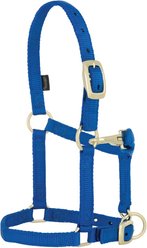 Weaver Equine Original Adjustable Halter, Average Mini: 5/8-in, Blue slide 1 of 9