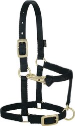 Weaver Equine Original Adjustable Halter, Average Mini: 5/8-in, Black