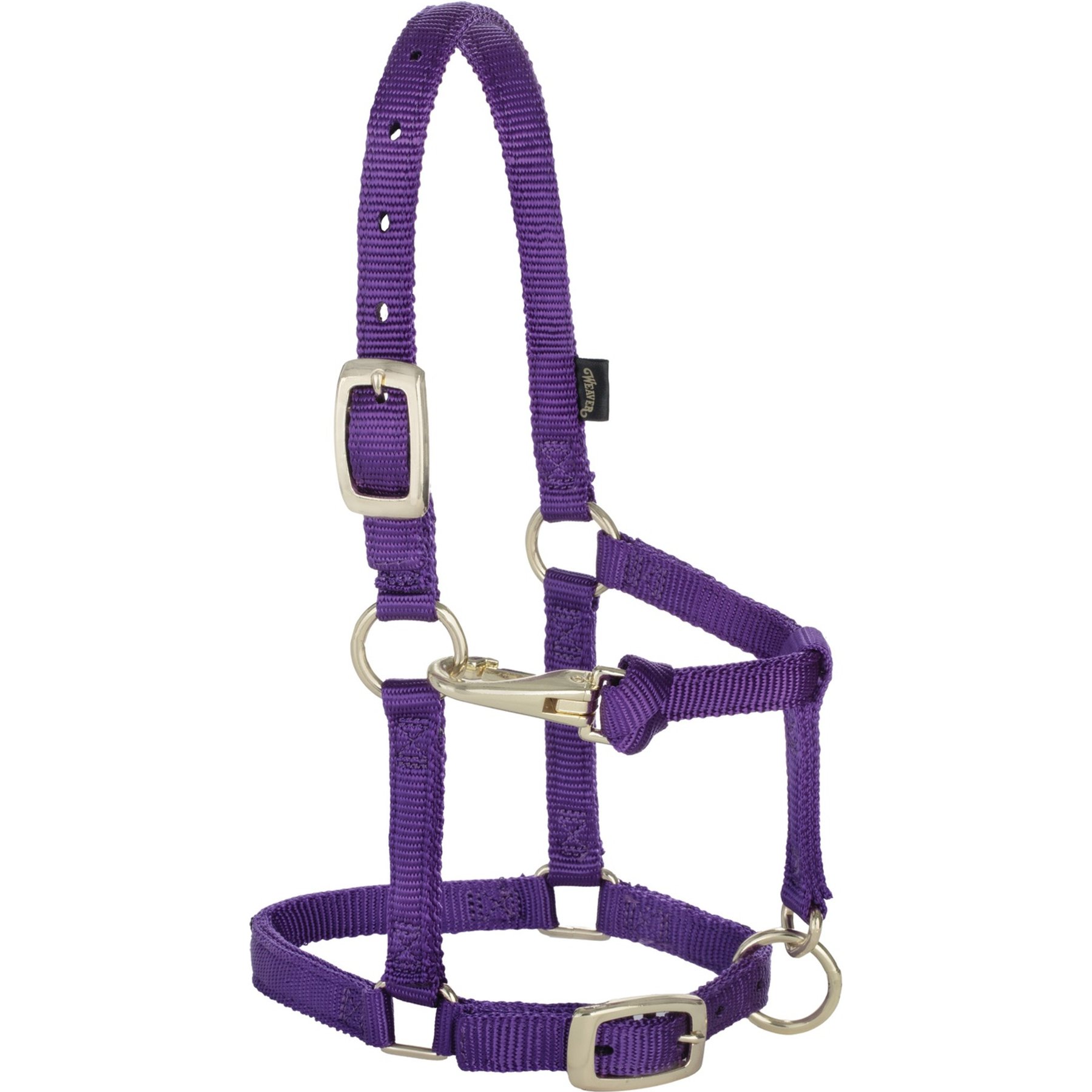Weaver Equine Original Adjustable Halter, Average Mini: 5/8-in, Purple