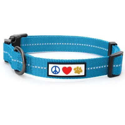 Pawtitas Pawtitas Recycled Reflective Dog Collar, Teal, Small: 11 to 16-in neck, 5/8-in wide