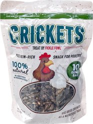 Fickle Fowl High Protein Dried Crickets Chicken Treats, 10-oz bag