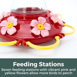 North States Wildflower Hummingbird Bird Feeder