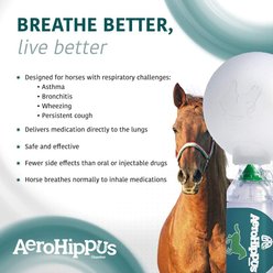 Trudell Medical International AeroHippus Equine Aerosol Chamber, 1 count slide 2 of 7