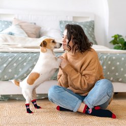 Furry Twinz Americana Maps Matching Pet & Owner Fun Socks slide 2 of 3
