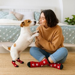 Furry Twinz Americana Pawmerica Matching Pet & Owner Fun Socks slide 2 of 3