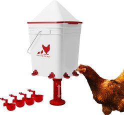 RentACoop Anti-Roost Corner Placed Chicken Waterer, 5-gal
